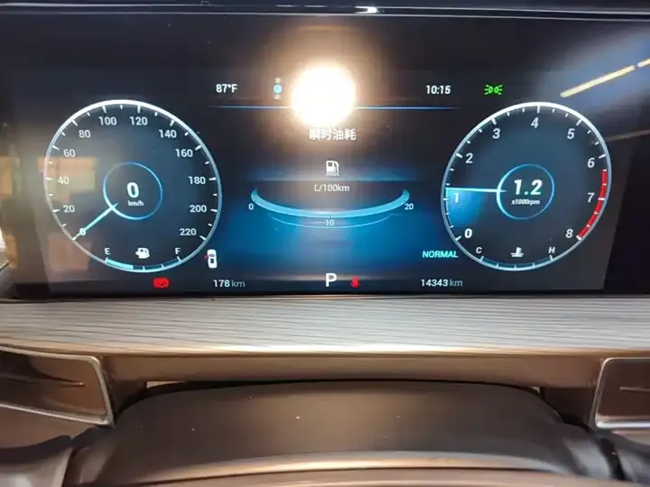 Ruihu 8 PLUS 2021 290TGDI DCT Pride Edition 8