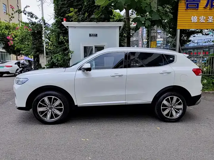 Haval H6 2021 2.0GDIT Auto Champion Edition 3