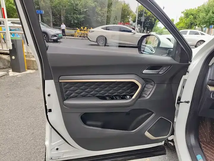 Haval H6 2021 2.0GDIT Auto Champion Edition 6