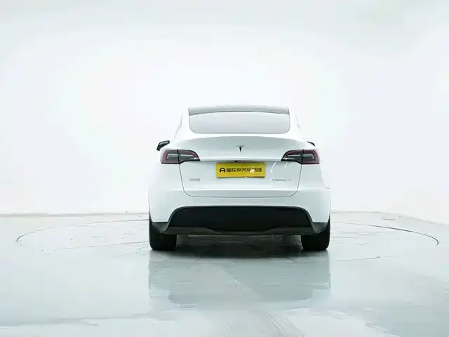 2022 Model Y Refreshed Rear-Wheel-Drive Version 7