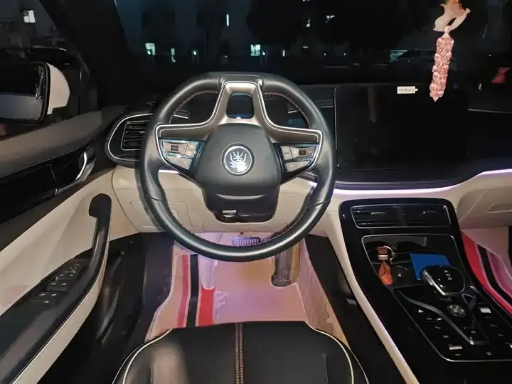 Qin PLUS 2023 Champion Edition DM-i 120KM Excellence 11