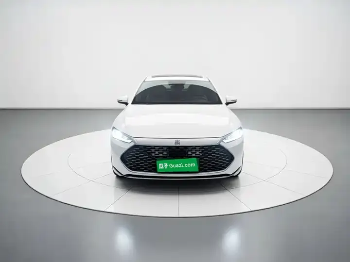 Qin PLUS 2023 Champion Edition DM-i 120KM Excellence 2