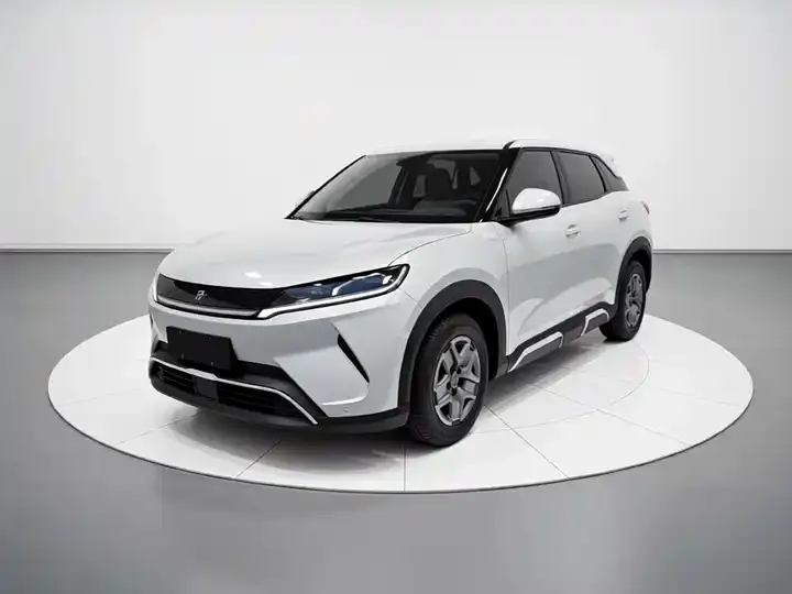 Yuan UP 2025 301KM Pilot 2