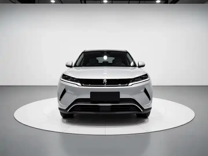 Yuan UP 2025 301KM Pilot 3