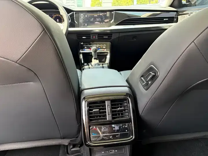 Passat 2024 380TSI Star Dragon Edition 10