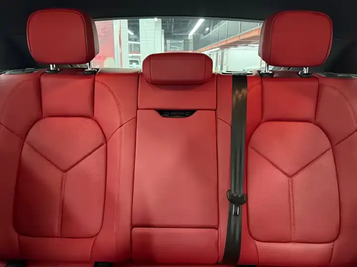 Macan 2021 Macan 2.0T 10