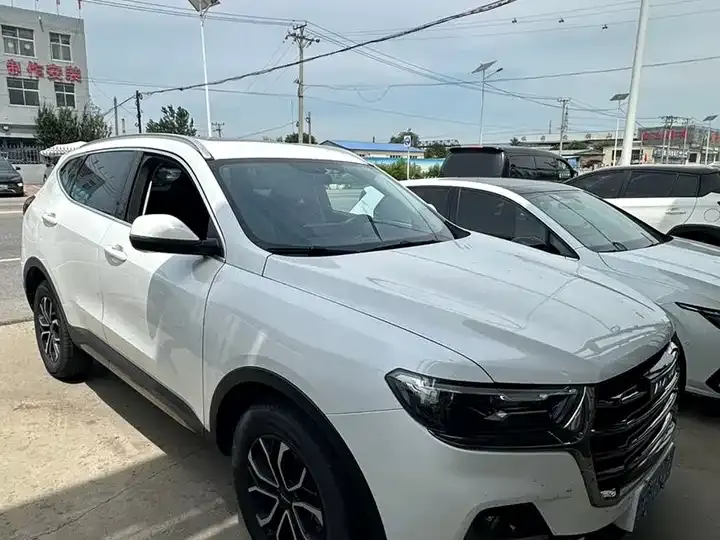 Haval H6 2021 National Tide Edition 1.5T Automatic City Edition 3