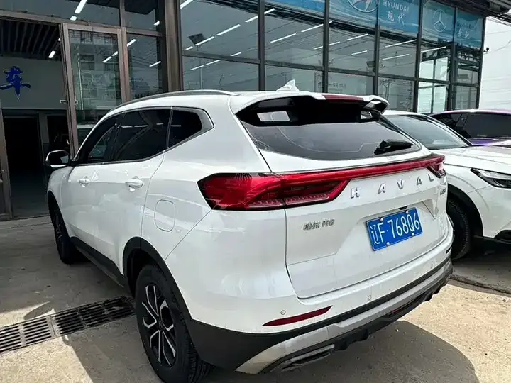 Haval H6 2021 National Tide Edition 1.5T Automatic City Edition 4