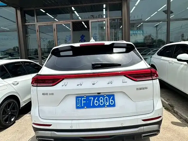 Haval H6 2021 National Tide Edition 1.5T Automatic City Edition 5