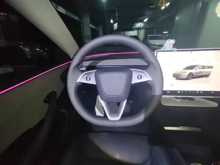 Model 3 2025 model facelift rear-wheel drive version 6