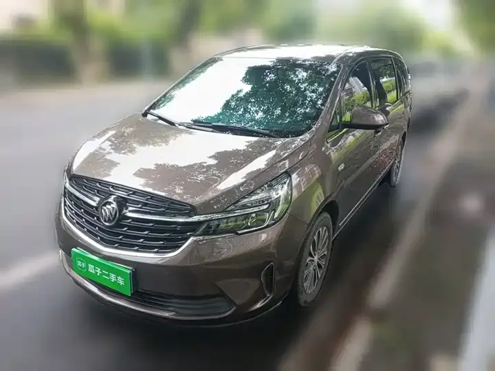 Buick GL8 2021 Land Business Class 652T Luxury Model - View 1