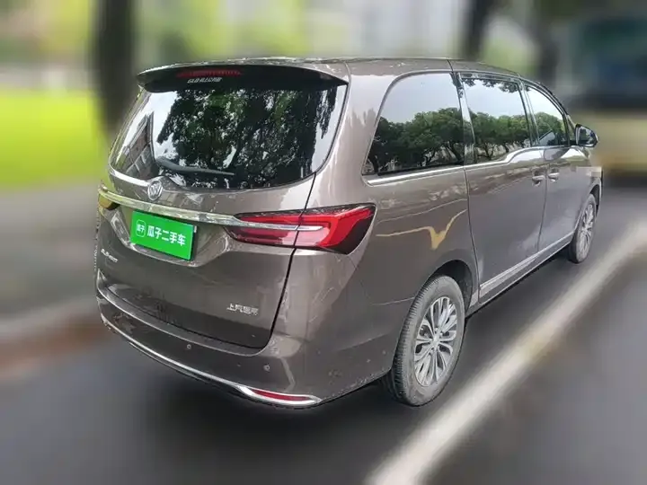 Buick GL8 2021 Land Business Class 652T Luxury Model 4