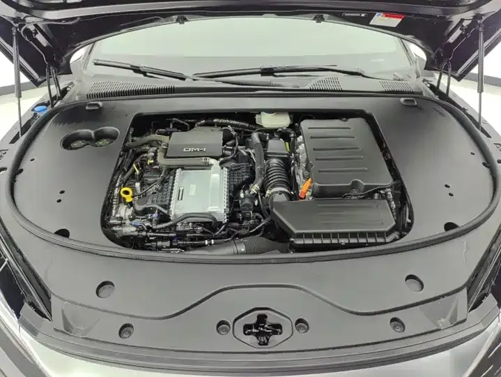 Han 2025 DM-i 125KM Honor Type 10
