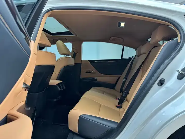 Lexus ES 2023 200 Excellence Edition 8