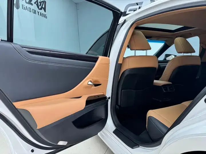 Lexus ES 2023 200 Excellence Edition 9