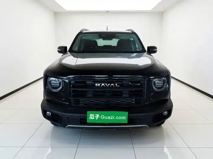 Haval Big Dog 2026 1.5T DCT Border Animal Husbandry Edition 2