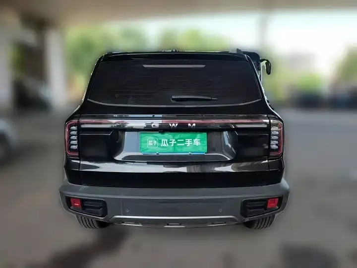 Haval Big Dog 2026 1.5T DCT Border Animal Husbandry Edition 3