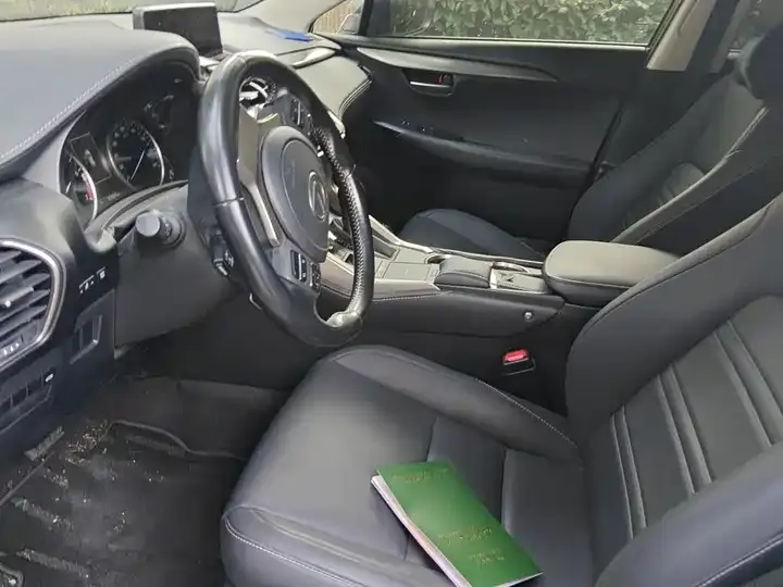 Lexus NX 2020 200 Precursor Frontex VI 11