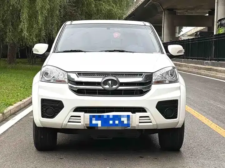 Fengjun 5 2023 2.0T diesel two-wheel drive aggressive large double 2