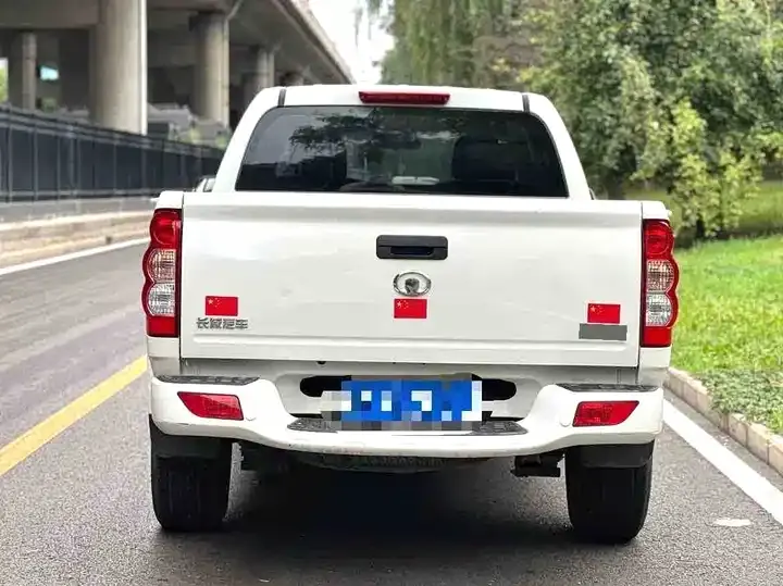 Fengjun 5 2023 2.0T diesel two-wheel drive aggressive large double 3