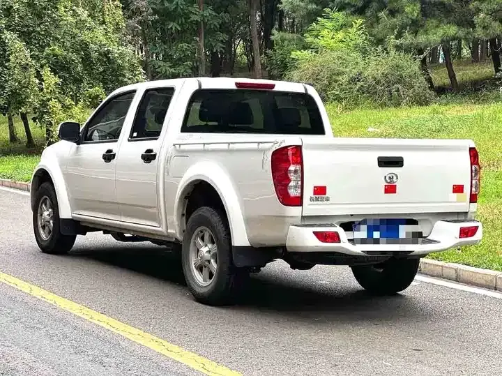 Fengjun 5 2023 2.0T diesel two-wheel drive aggressive large double 4
