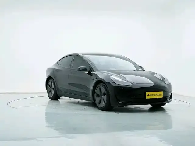2022 Model 3 Rear-Wheel Drive Version 3