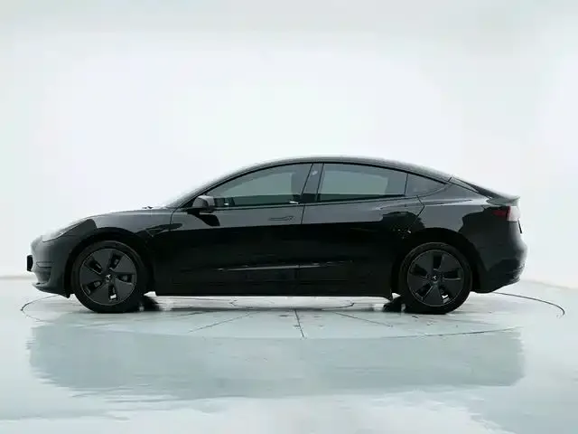2022 Model 3 Rear-Wheel Drive Version 4