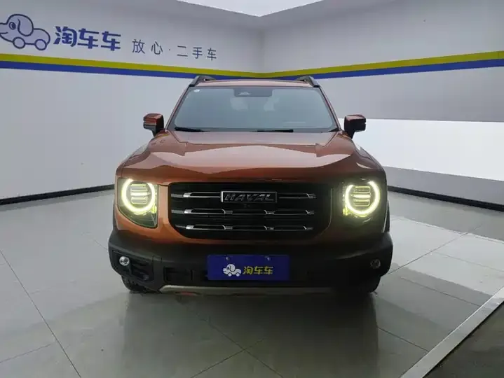 Haval Big Dog 2021 1.5T DCT Two-Drive Border Pastoral Edition 2