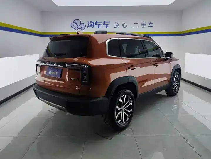 Haval Big Dog 2021 1.5T DCT Two-Drive Border Pastoral Edition 3