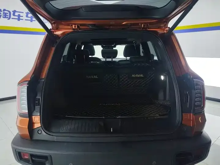 Haval Big Dog 2021 1.5T DCT Two-Drive Border Pastoral Edition 4