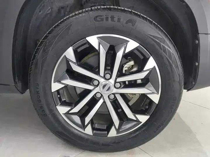 Haval Big Dog 2021 1.5T DCT Two-Drive Border Pastoral Edition 6