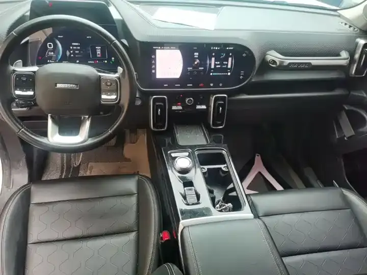 Haval Big Dog 2021 1.5T DCT Two-Drive Horse Dog Edition 10