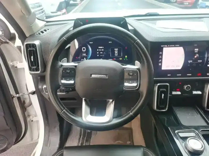 Haval Big Dog 2021 1.5T DCT Two-Drive Horse Dog Edition 11