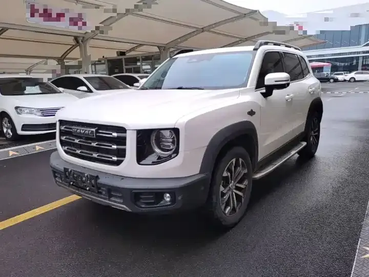 Haval Big Dog 2021 1.5T DCT Two-Drive Horse Dog Edition 2