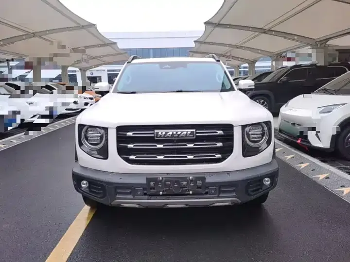 Haval Big Dog 2021 1.5T DCT Two-Drive Horse Dog Edition 3