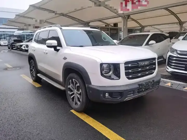 Haval Big Dog 2021 1.5T DCT Two-Drive Horse Dog Edition 4