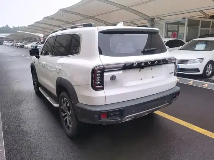 Haval Big Dog 2021 1.5T DCT Two-Drive Horse Dog Edition 5