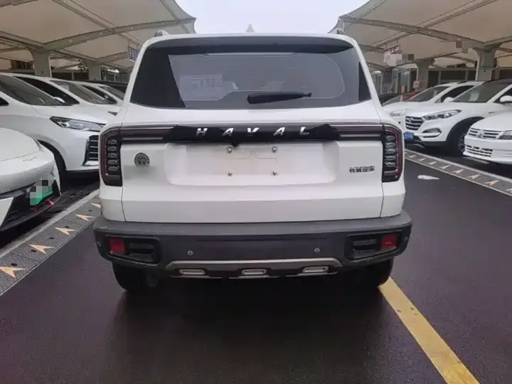 Haval Big Dog 2021 1.5T DCT Two-Drive Horse Dog Edition 6