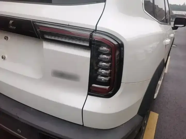 Haval Big Dog 2021 1.5T DCT Two-Drive Horse Dog Edition 8
