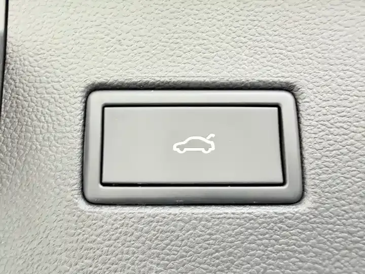 Ling Du 2023 Ling Du L 280TSI DSG Cool Edition 6