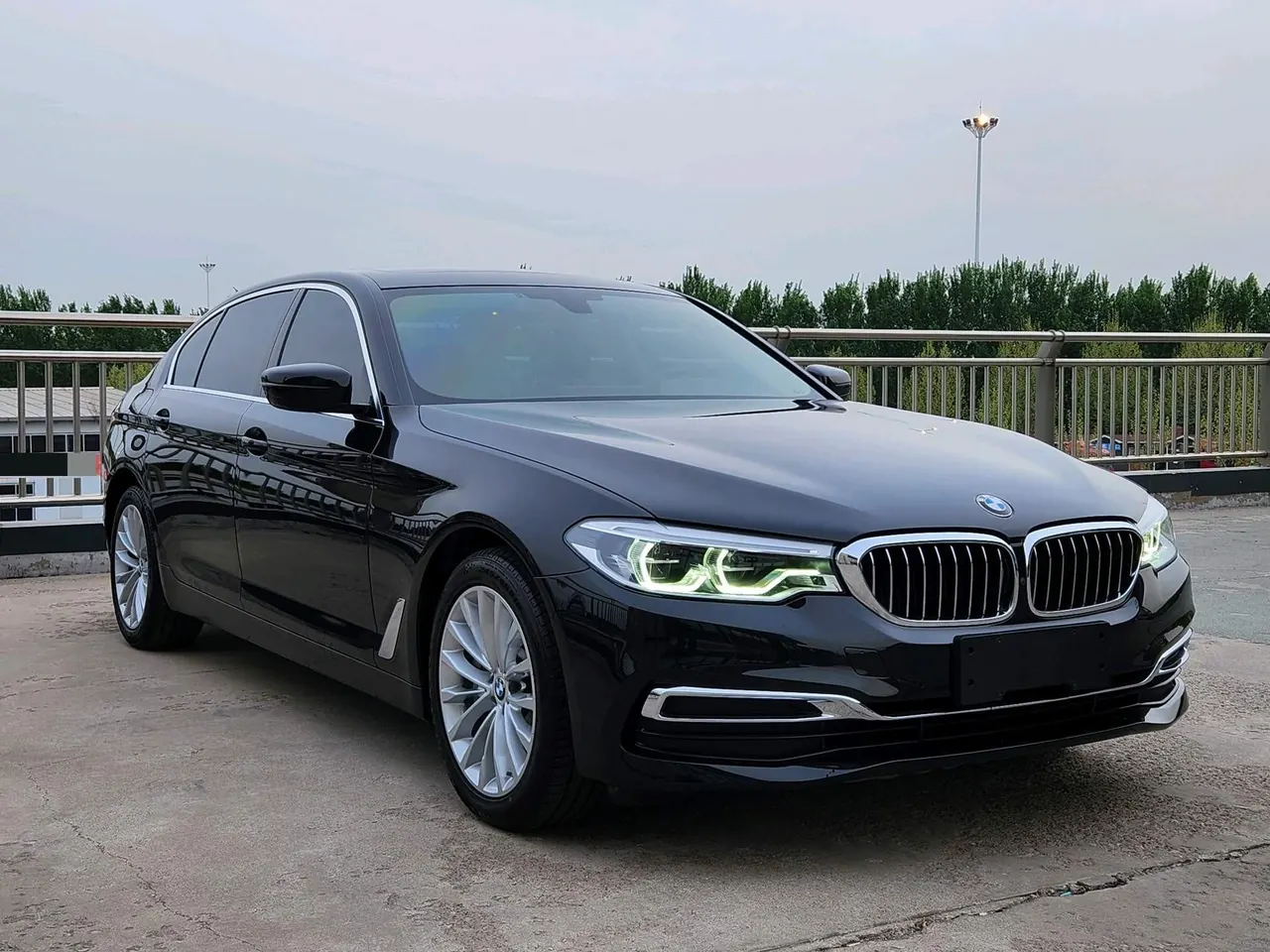 BMW 5 Series 2020 530Li 2.0T Leading Luxury Suit Automatic Gear 3