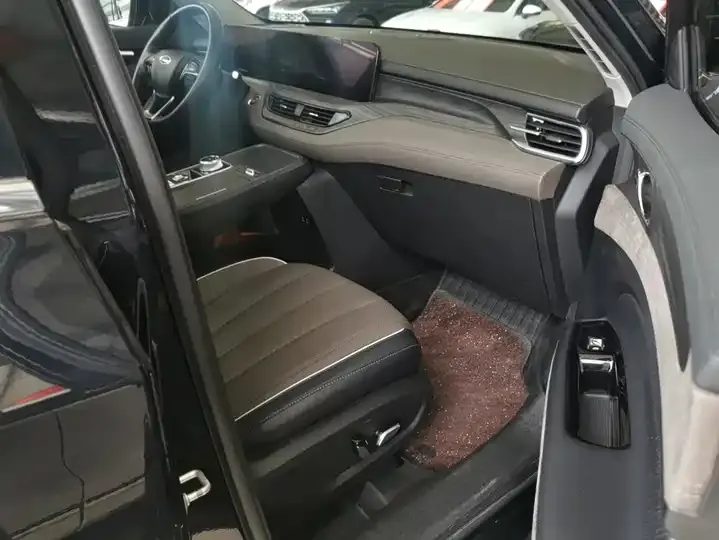 Lingyu 2023 EcoBoost 225 Zunling 7 seats (2/2/3) 8