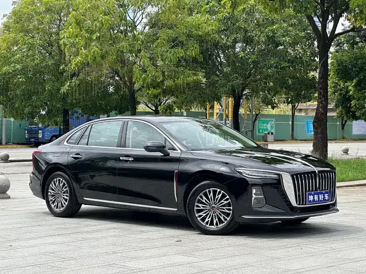 HongQi H5 2025 1.5T DCT Flag Rhyme Edition 3