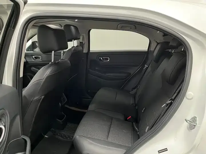 Binzhi 2023 1.5L CVT Pioneer Edition 11