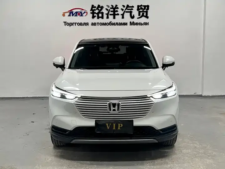Binzhi 2023 1.5L CVT Pioneer Edition 2