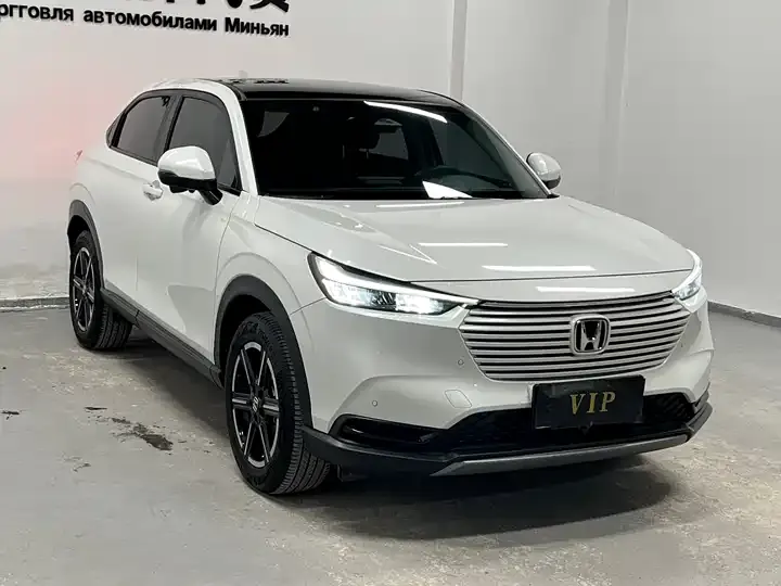 Binzhi 2023 1.5L CVT Pioneer Edition 3