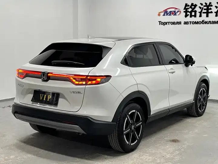 Binzhi 2023 1.5L CVT Pioneer Edition 4