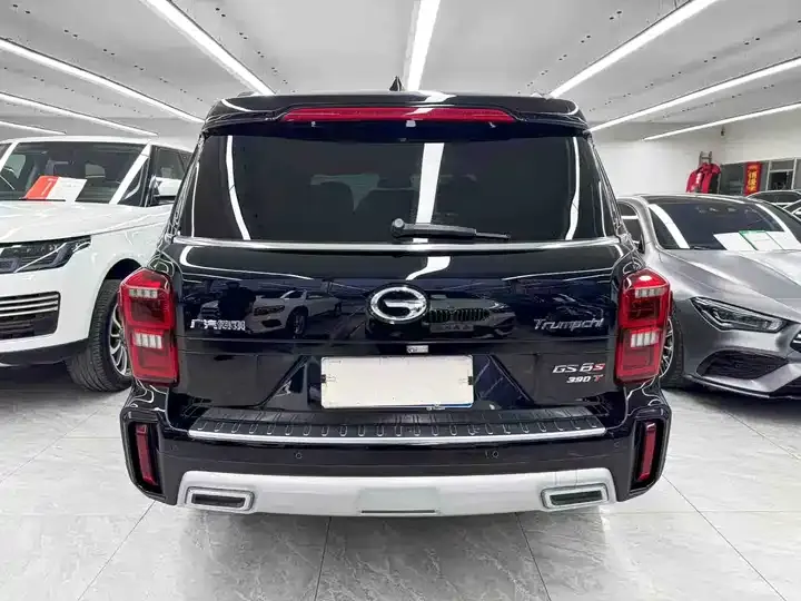 Chuanqi GS8 2020 GS8S 390T Two-Drive Deluxe Zhilian Edition 5