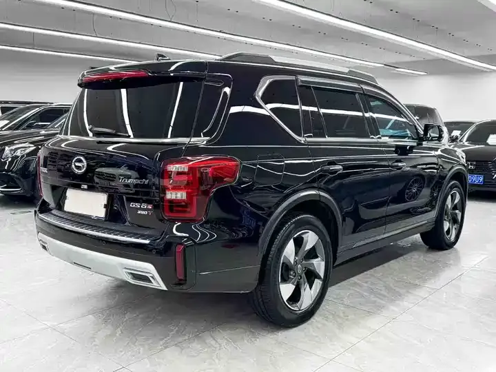 Chuanqi GS8 2020 GS8S 390T Two-Drive Deluxe Zhilian Edition 6