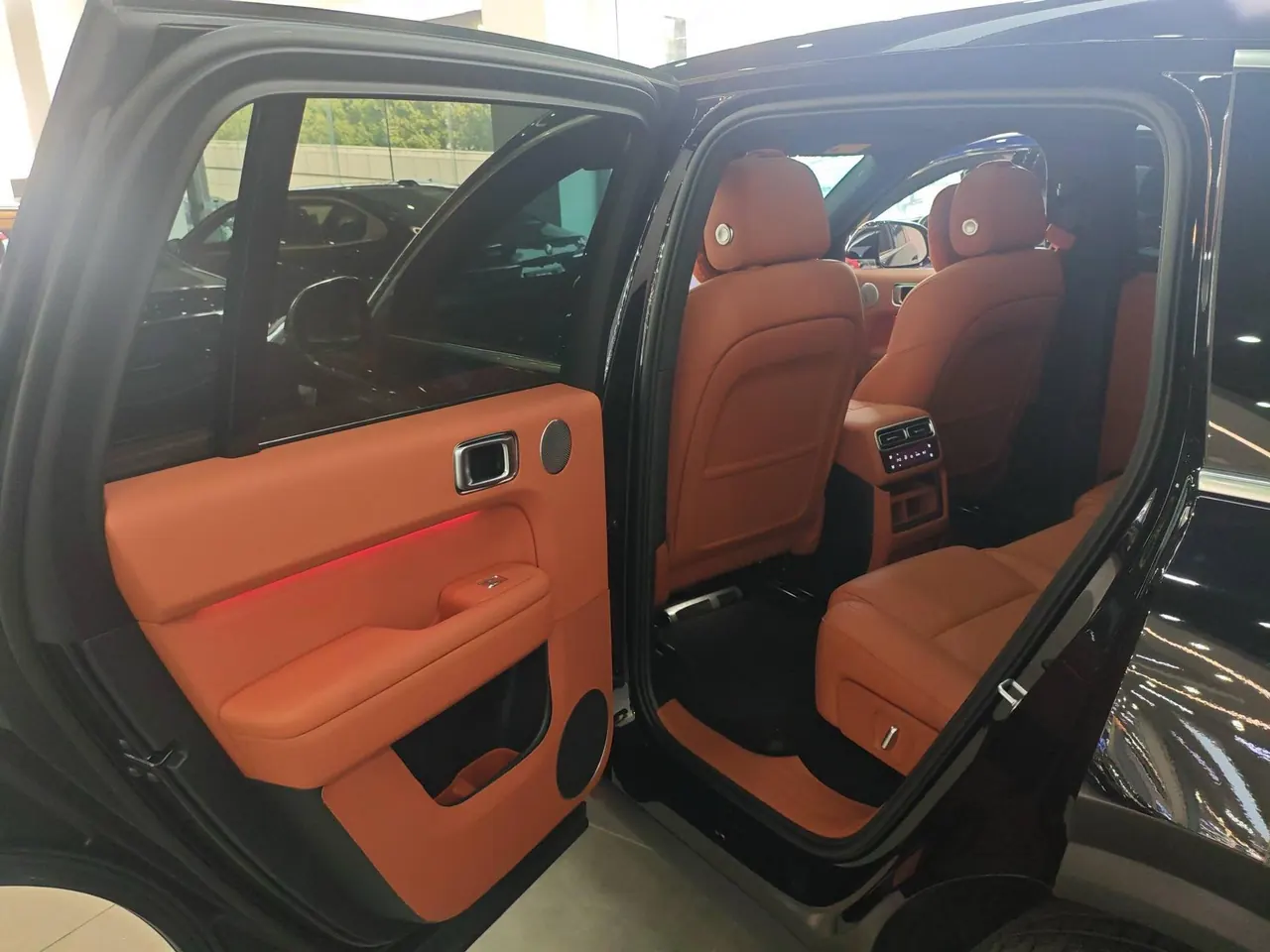 Li 2025 L6 Pro Intelligent Rejuvenation Automatic Gear 4